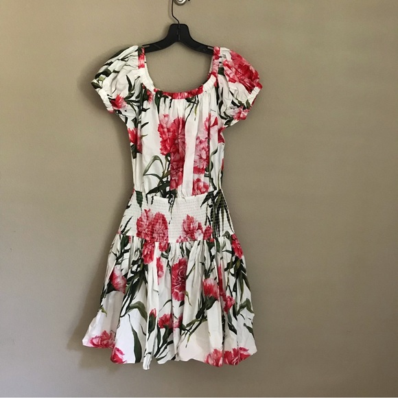 DOLCE&GABBANA Off-The-Shoulder Carnation-Print Dress - Picture 5 of 11